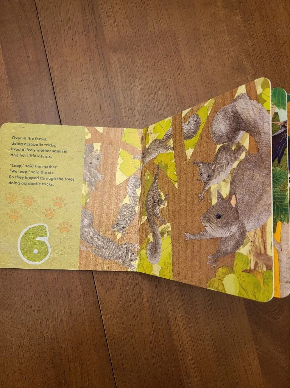 Over in the Forest Children's Board Book - Marianne Berkes Like New